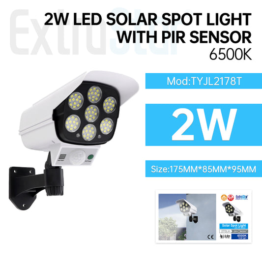 2W LED Solar Spot Light with PIR Sensor, 6500K (8TYJL2178T)